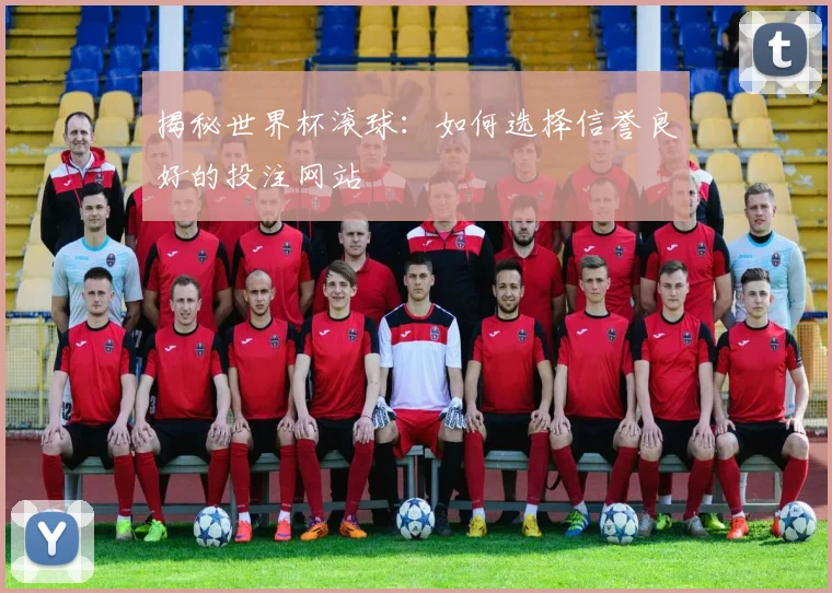 揭秘世界杯滚球：如何选择信誉良好的投注网站