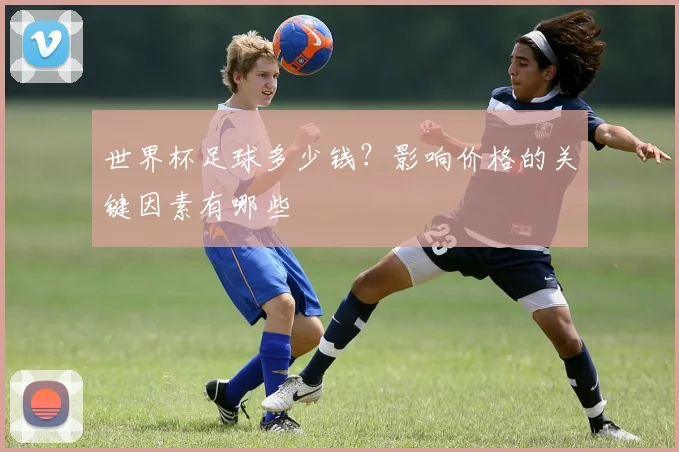 世界杯足球多少钱?影响价格的关键因素有哪些