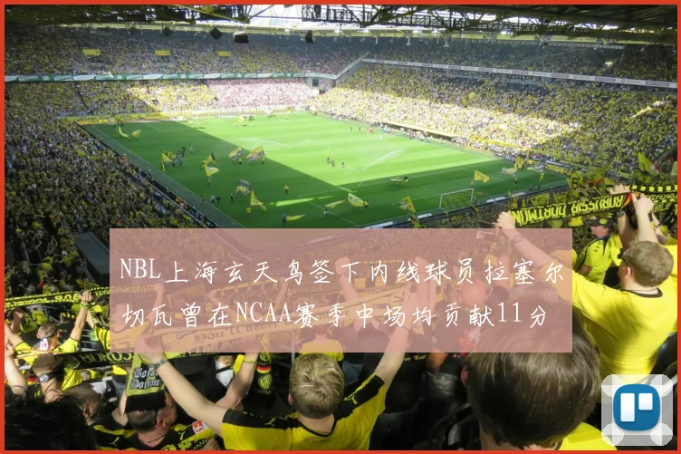 NBL上海玄天鸟签下内线球员拉塞尔切瓦曾在NCAA赛季中场均贡献11分8篮板