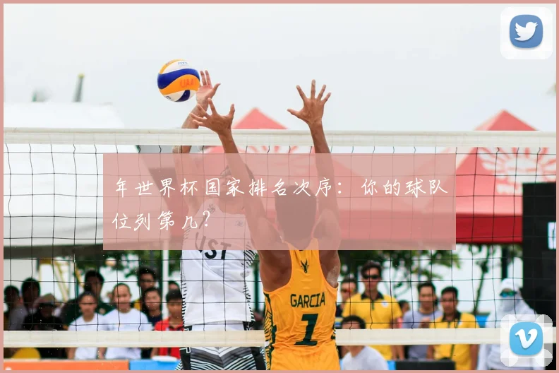 年世界杯国家排名次序：你的球队位列第几？