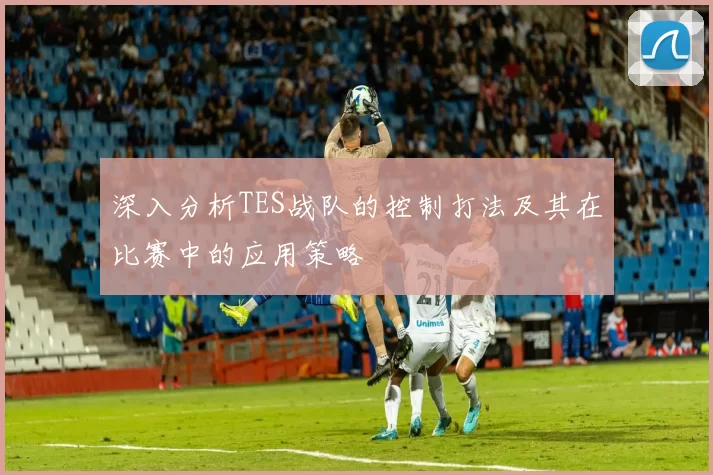 深入分析TES战队的控制打法及其在比赛中的应用策略