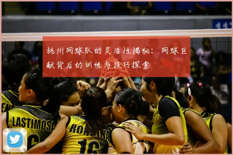杭州网球队的灵活性揭秘：网球巨献背后的训练与技巧探索