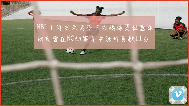 NBL上海玄天鸟签下内线球员拉塞尔切瓦曾在NCAA赛季中场均贡献11分8篮板
