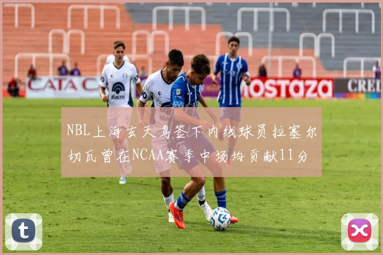 NBL上海玄天鸟签下内线球员拉塞尔切瓦曾在NCAA赛季中场均贡献11分8篮板