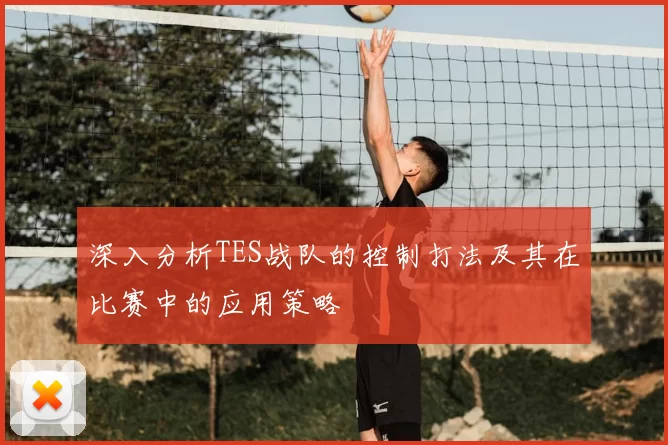 深入分析TES战队的控制打法及其在比赛中的应用策略