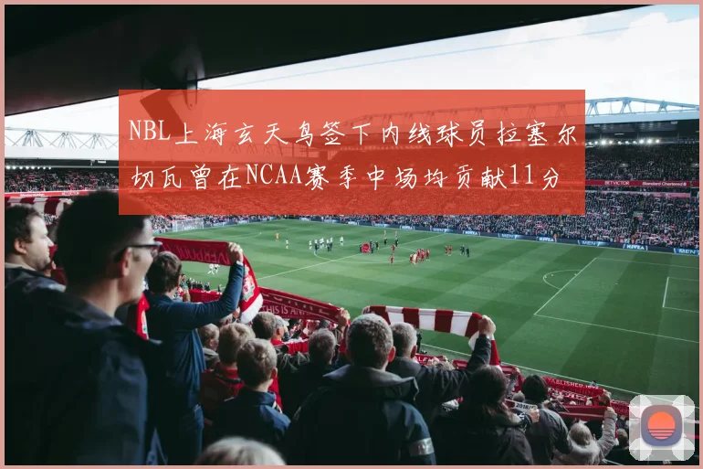 NBL上海玄天鸟签下内线球员拉塞尔切瓦曾在NCAA赛季中场均贡献11分8篮板