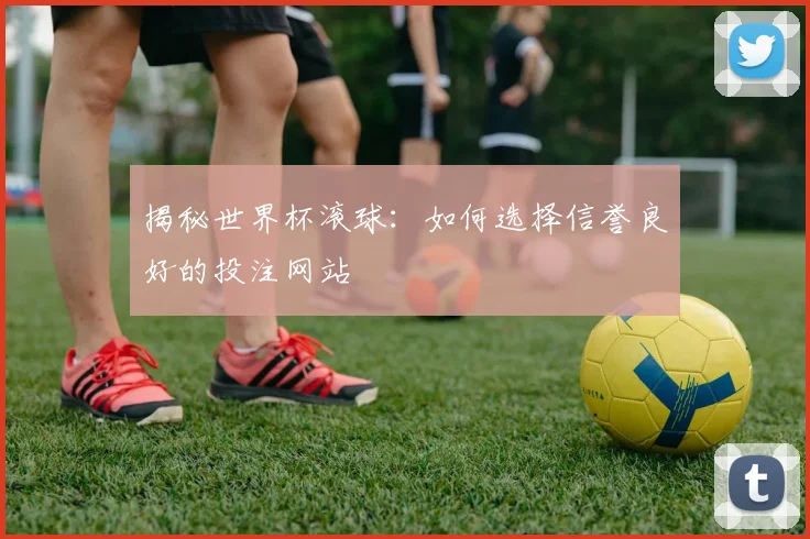 揭秘世界杯滚球:如何选择信誉良好的投注网站