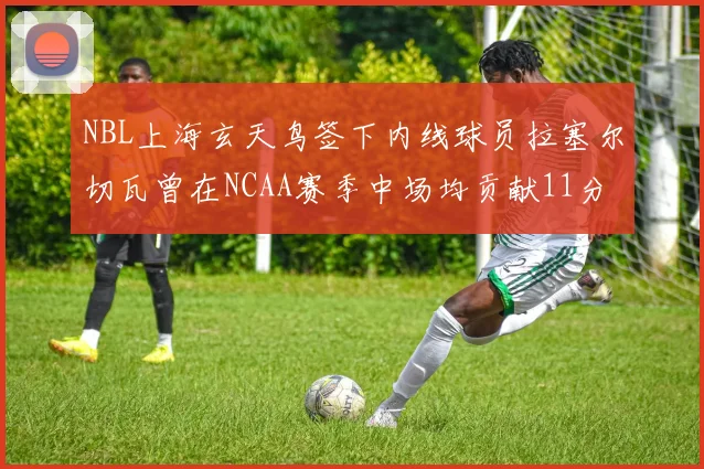 NBL上海玄天鸟签下内线球员拉塞尔切瓦曾在NCAA赛季中场均贡献11分8篮板