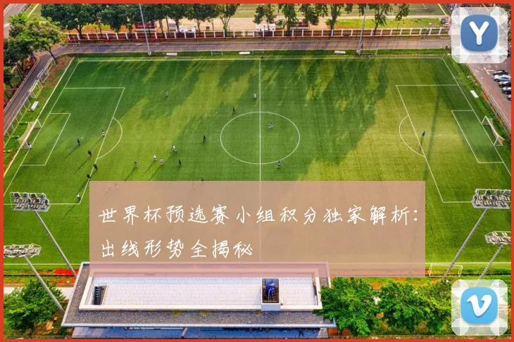 世界杯预选赛小组积分独家解析:出线形势全揭秘