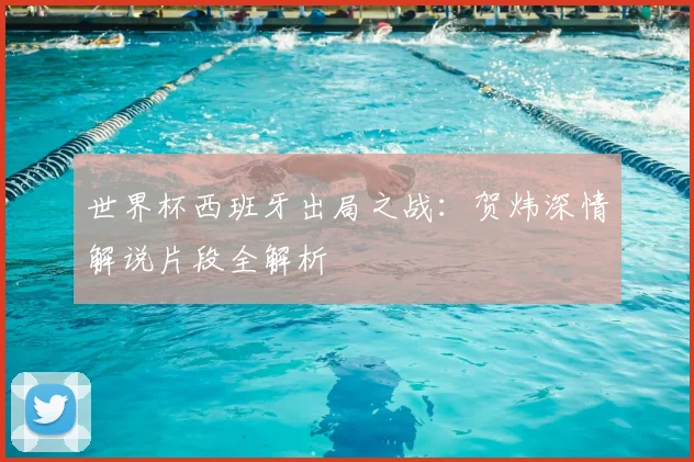 世界杯西班牙出局之战：贺炜深情解说片段全解析