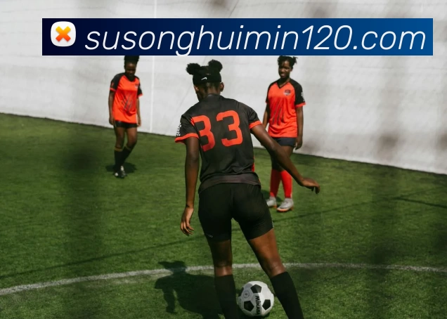 华体会体育平台生态图